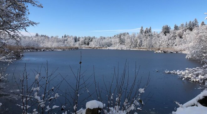 Der Stocksee im Winter verweist mit schneebedeckten Bäumen